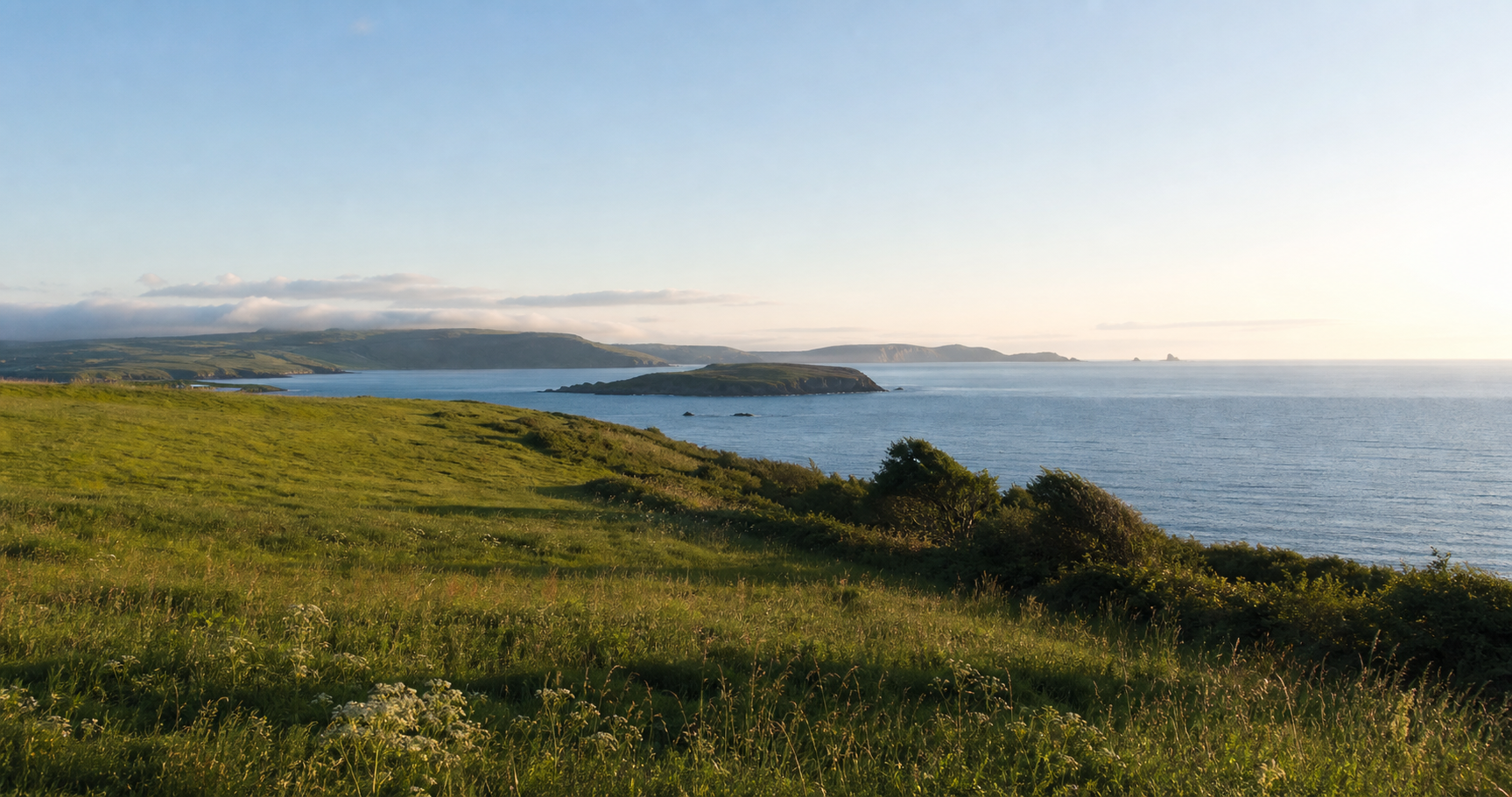 A calm South Devon coastal landscape with green headland, open sea, and soft morning light.