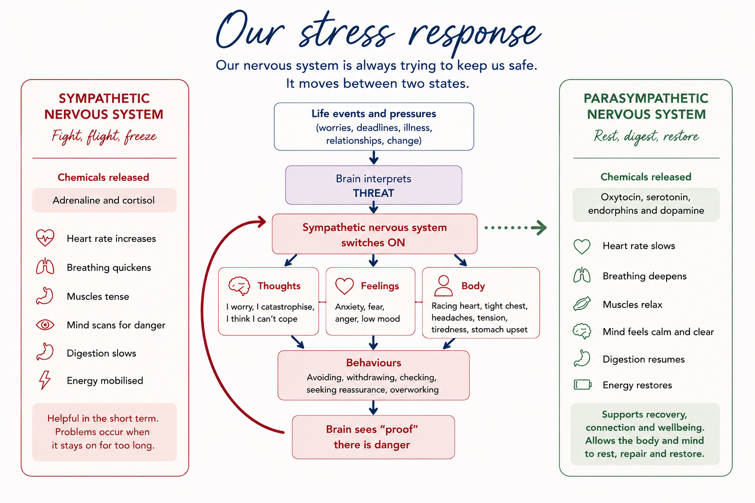 Infographic explaining the stress response.